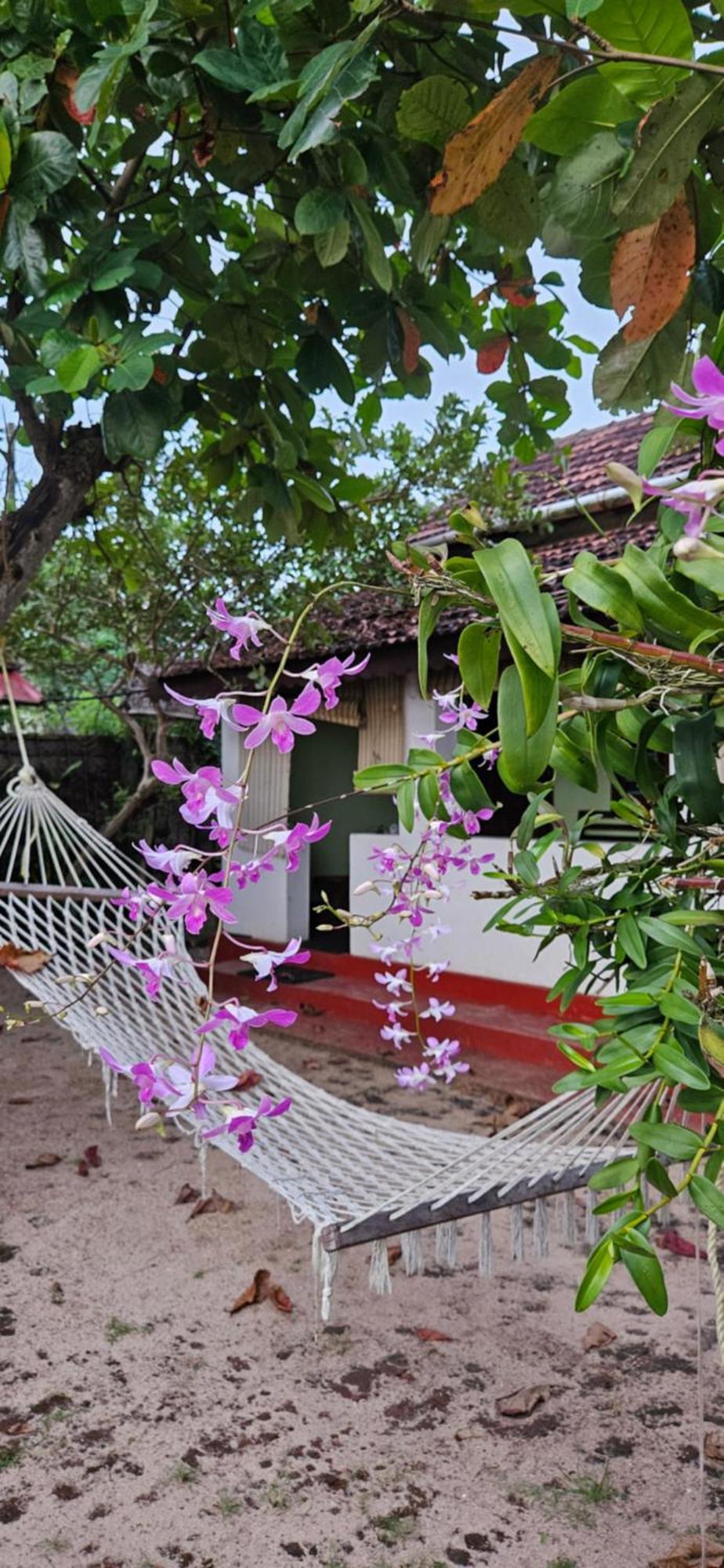 Angeo Beach House Apartment Alappuzha Exterior photo